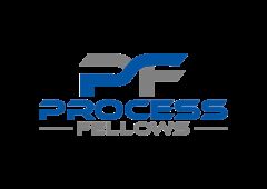Process Fellows logo 01